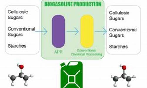 生物汽油的前景和应用_生物汽油成分